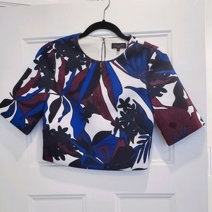 Ted Baker Floral Crop Top (size 1)